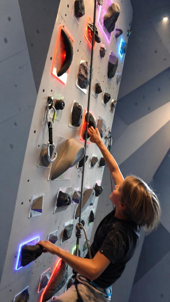 Bewegung, Training und digitale Entwicklung
